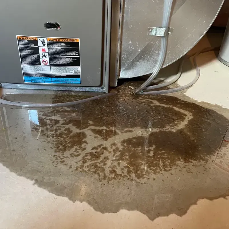 Appliance Leak Cleanup in Franklin, MI